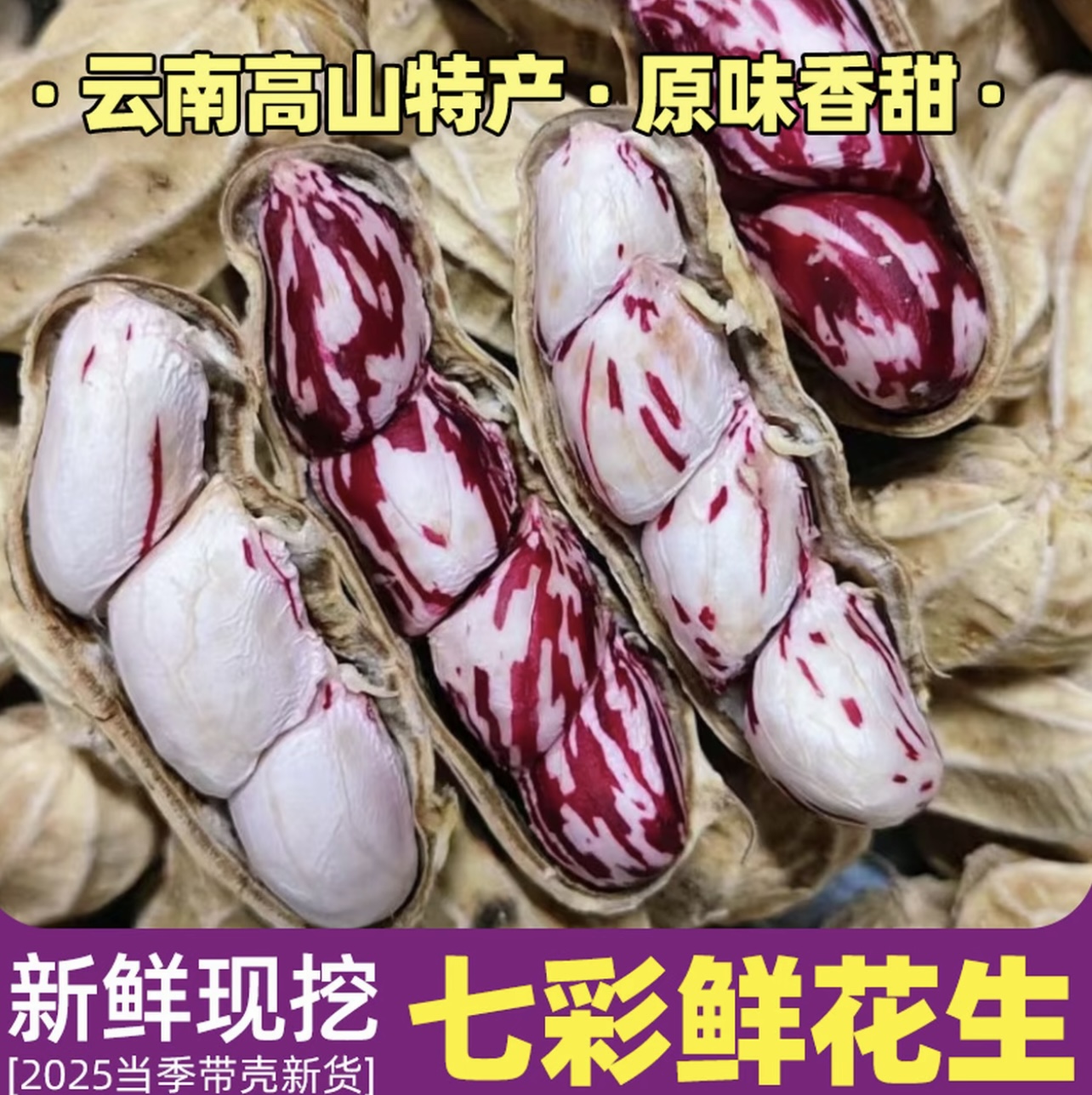 云南新鲜七彩花生现挖现发带泥水果湿花生颗粒饱满