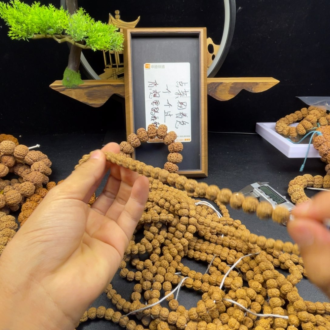 手串金刚菩提小金刚