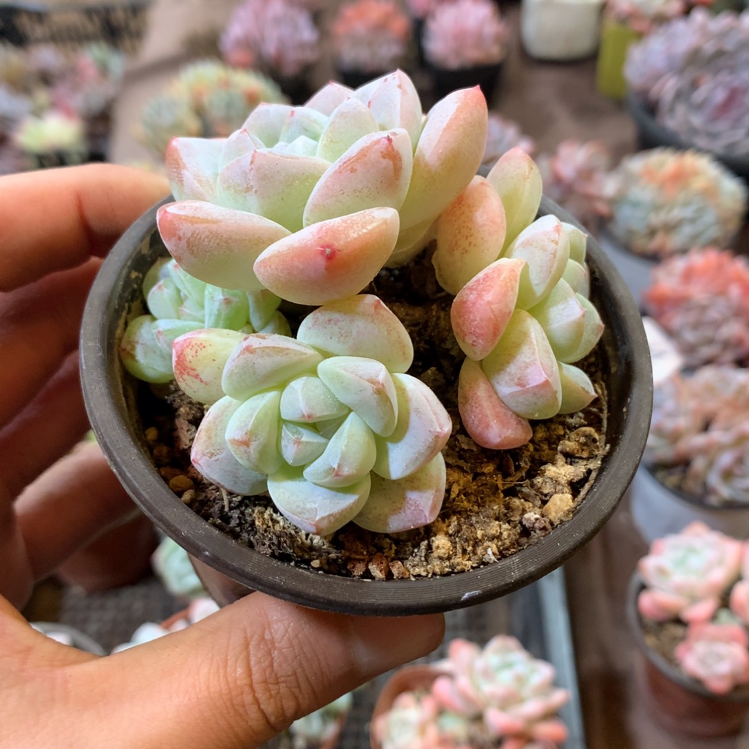 哈哈哈哈哈哈哈哈哈哈