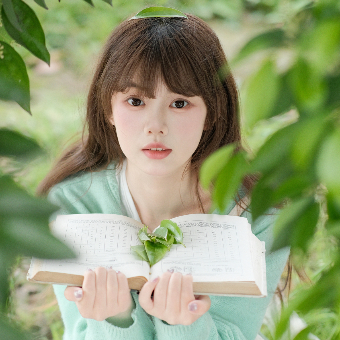 芋圆的日常摄影图片
