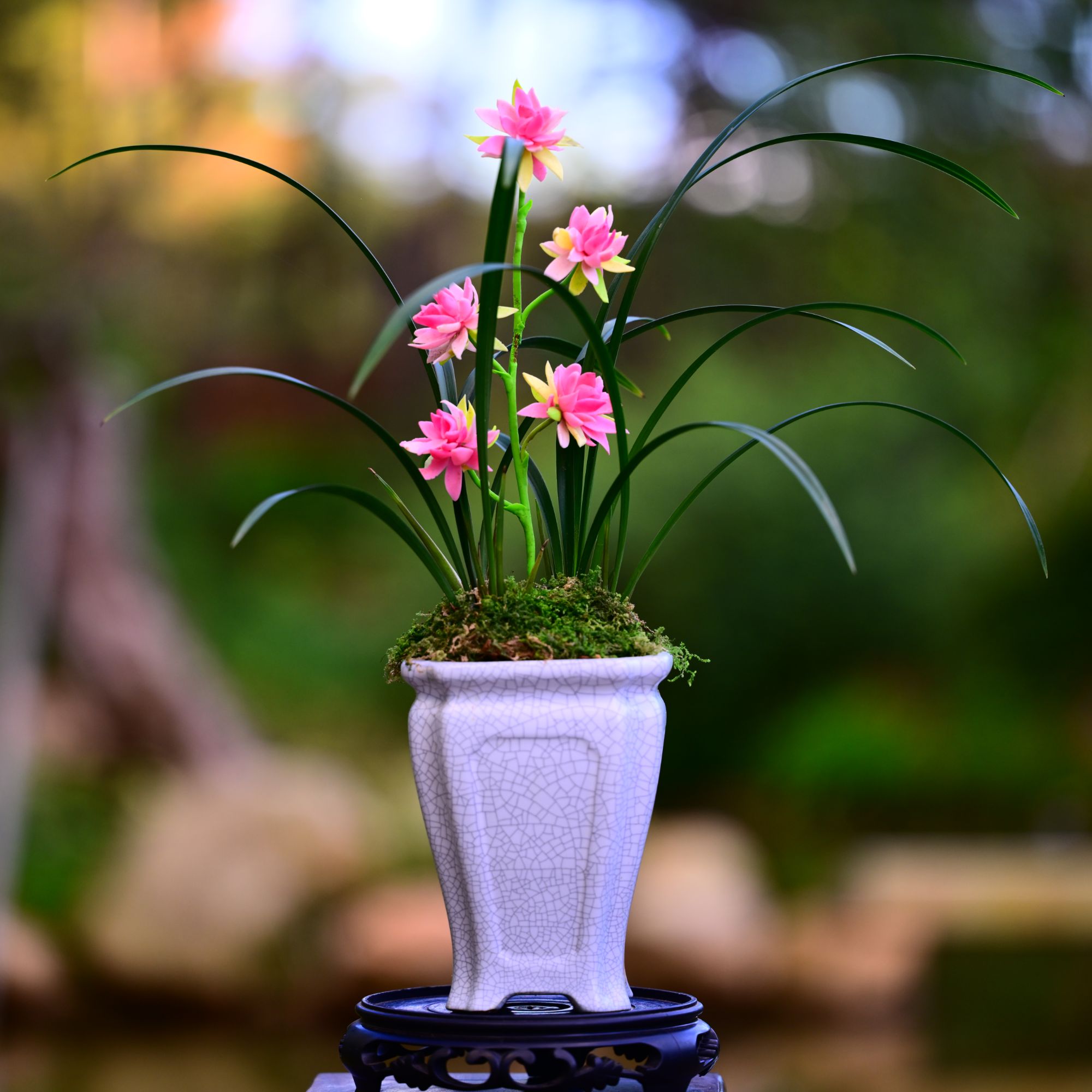 建兰铭品【仙山牡丹】高端紫砂盆 好养盆栽