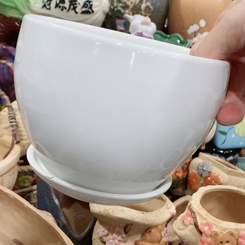 【闪购商品】陶瓷陶瓷花盆，多肉花盆