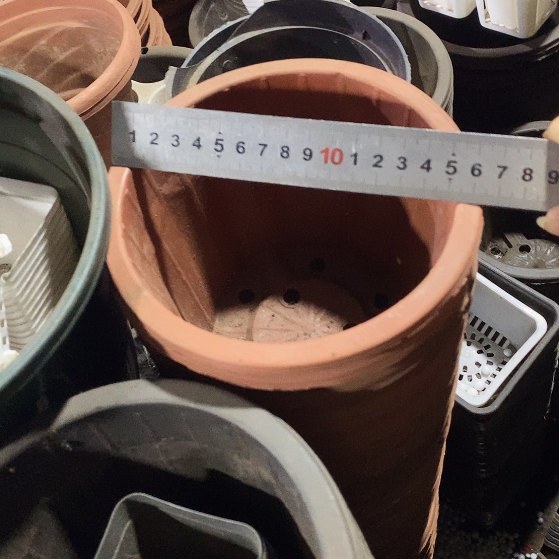 塑料旧16公分红砖盆20个