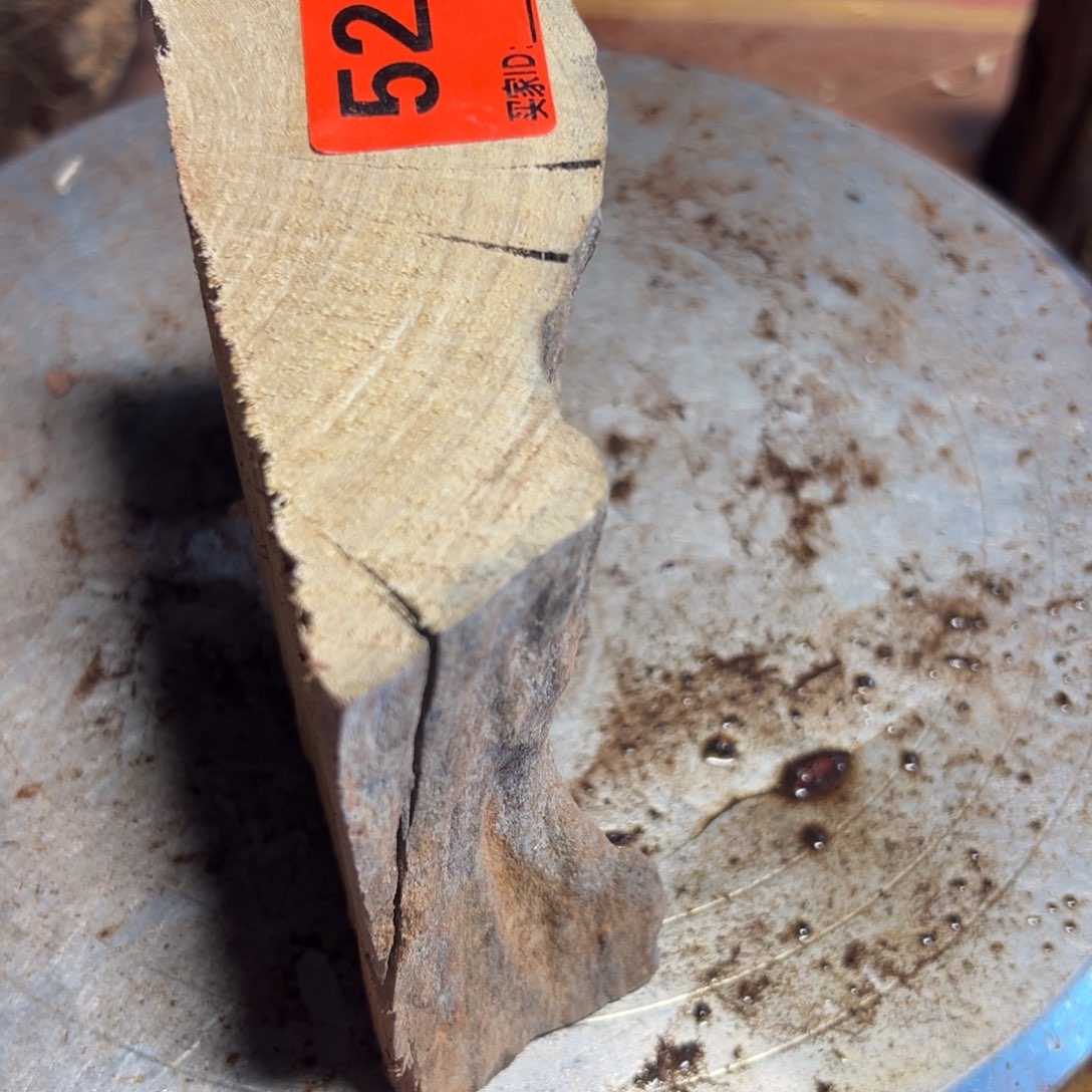 大果紫檀（缅甸花梨）