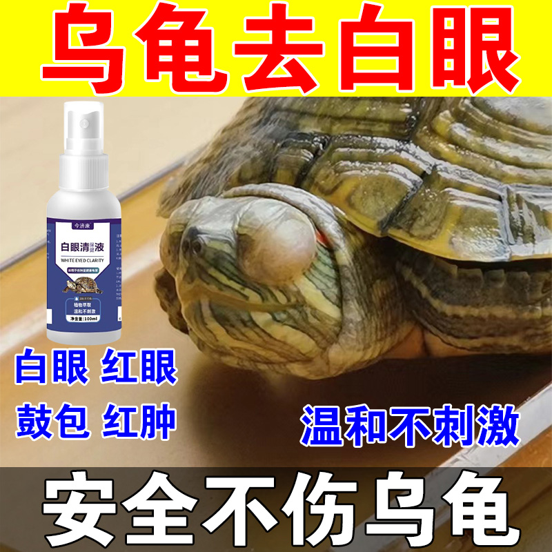 乌龟白眼红眼蒙眼乌龟白眼专用巴西龟草龟乌龟眼睛睁不开红肿