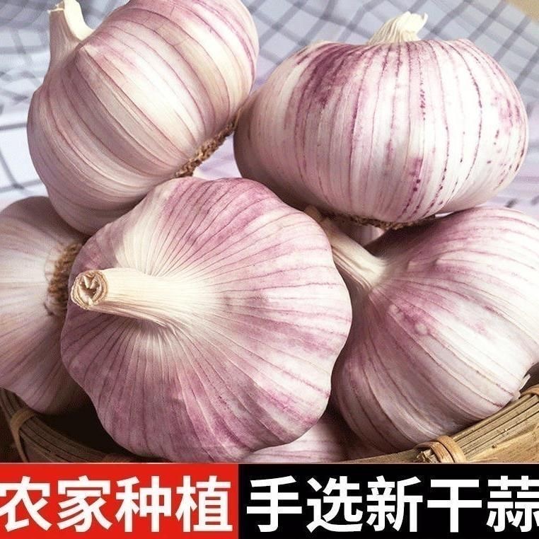 紫皮大蒜50mm大果香辣饱满干蒜2025新大蒜农家蒜整箱5斤