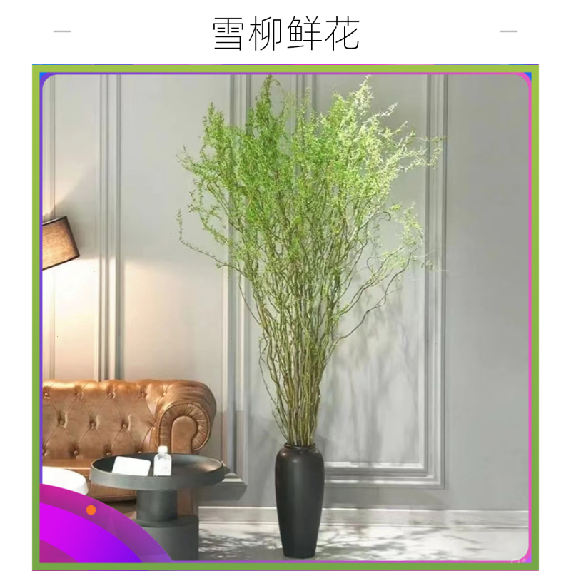 鲜枝插花客厅家用直发鲜花新年好水培植物养活雪柳竹子鲜枝大型
