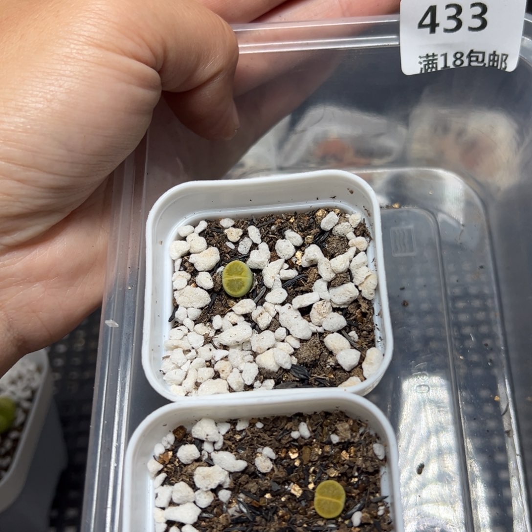 【闪购商品】空*433……