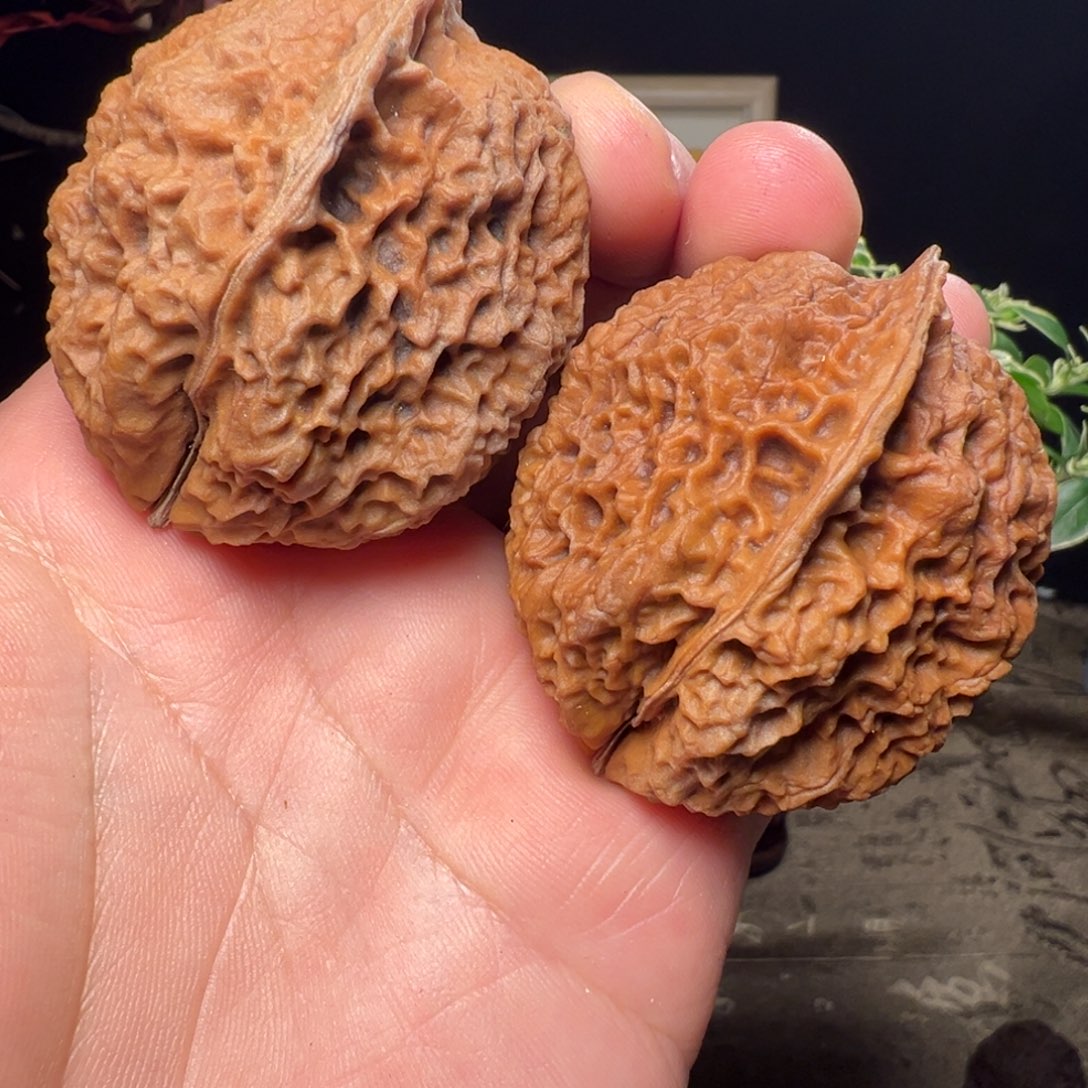 文玩核桃吊坠四海飞龙44mm