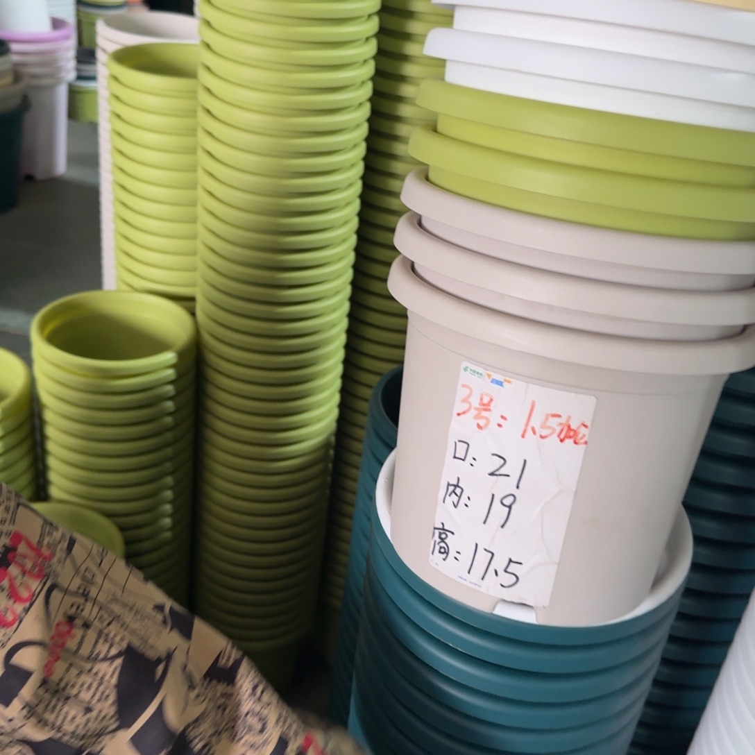 四季3#口径21无拖果绿10个