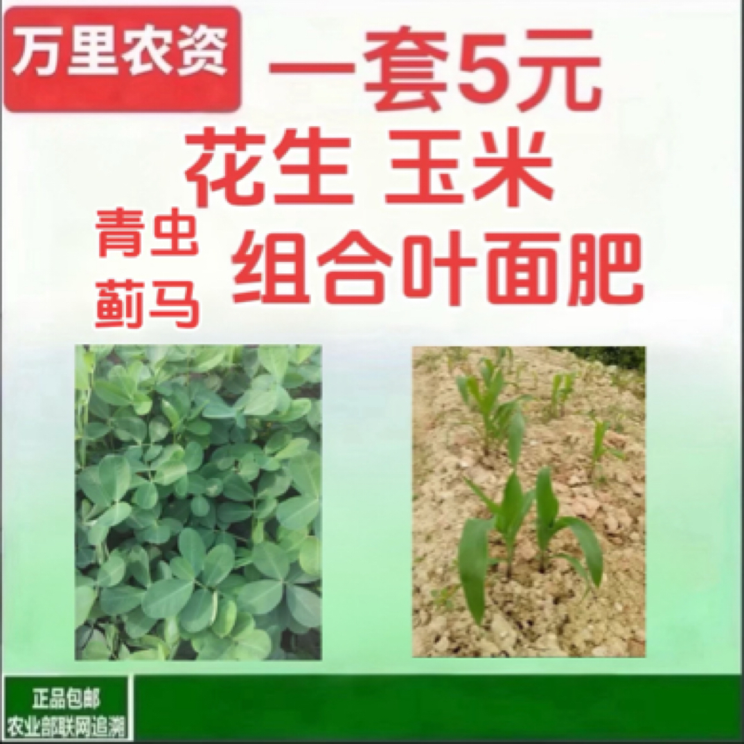 玉米花生钻心虫蓟马飞虱解决方案