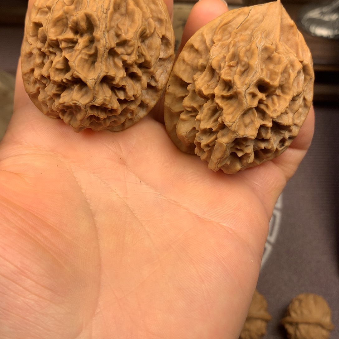 秦岭山脉和青石丘陵地带是