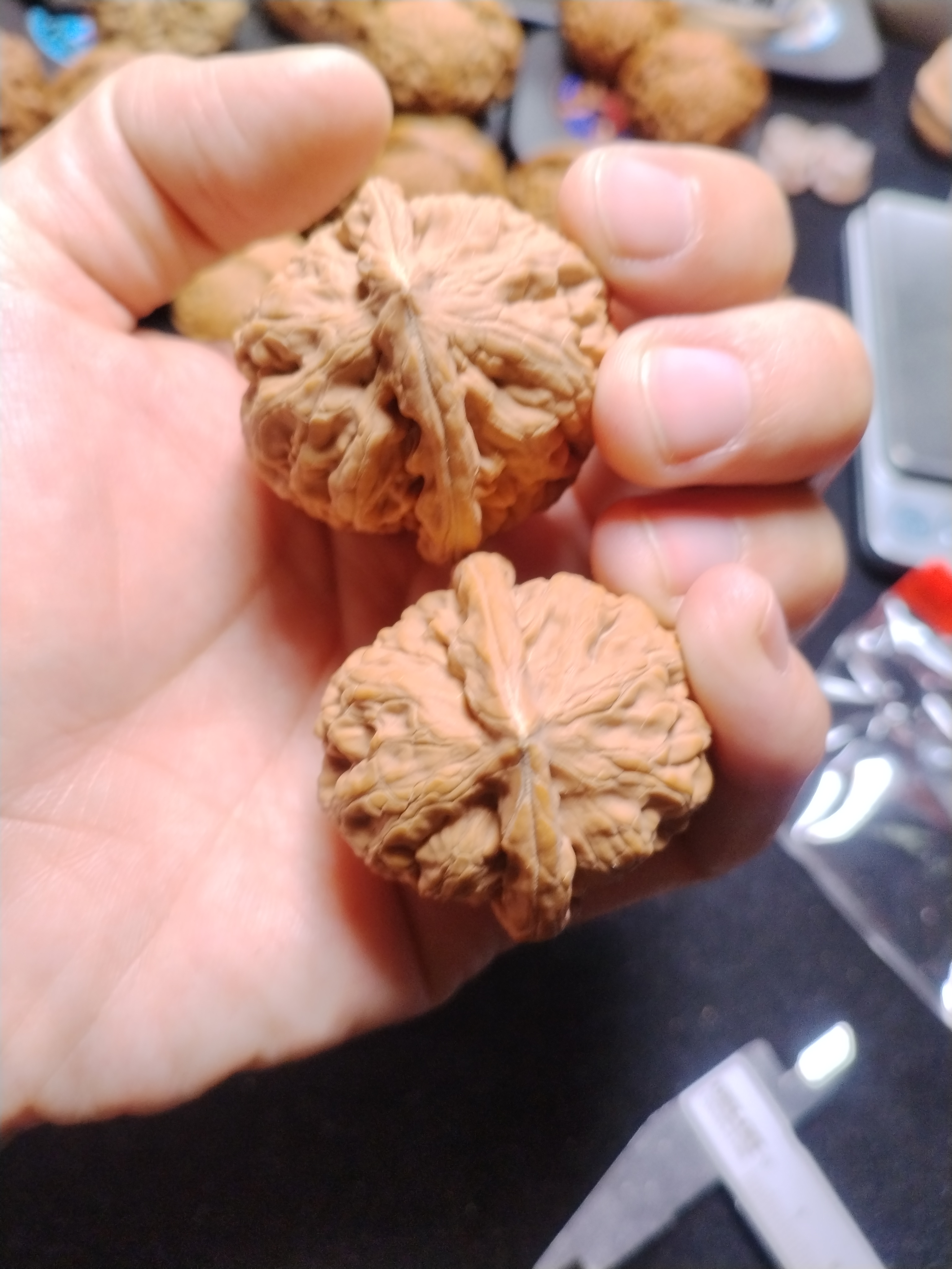 38全品凤凰台狮子头文玩核桃