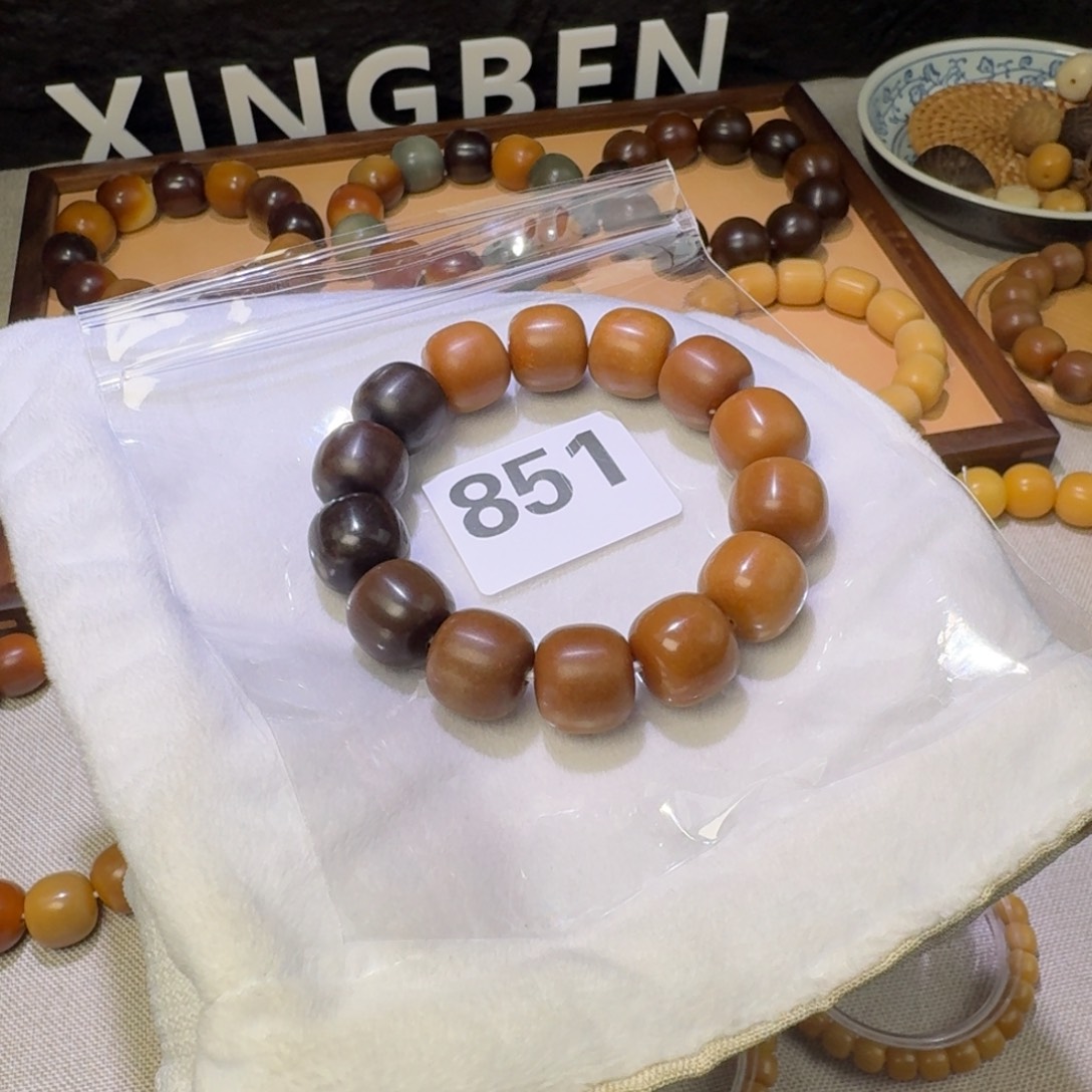 菩提根/象牙果吊坠16.7瑕疵干磨