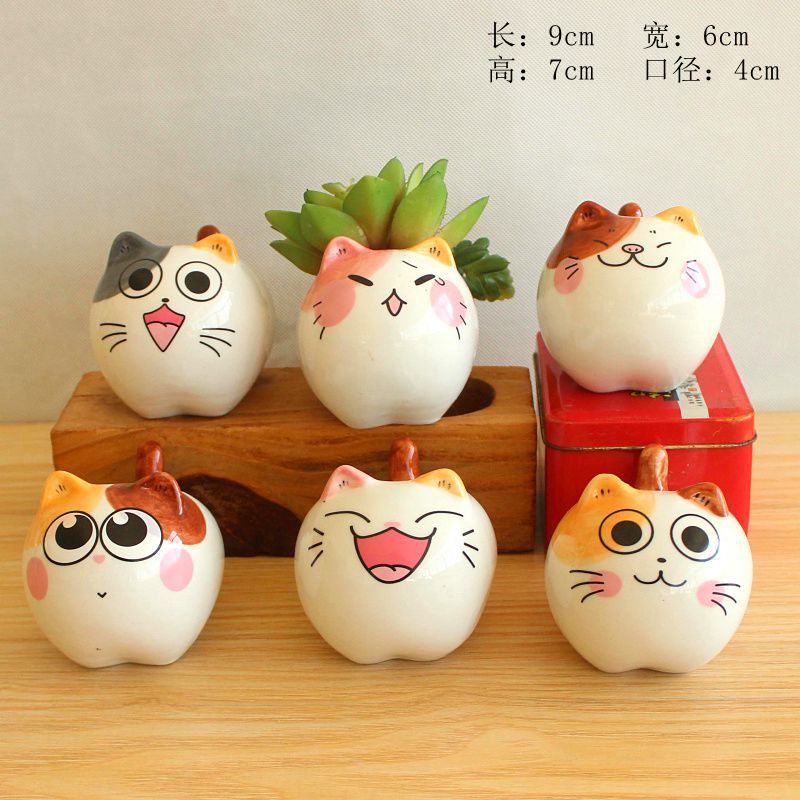 多肉花盆  北欧风格卡通多肉植物花盆  花盆5682