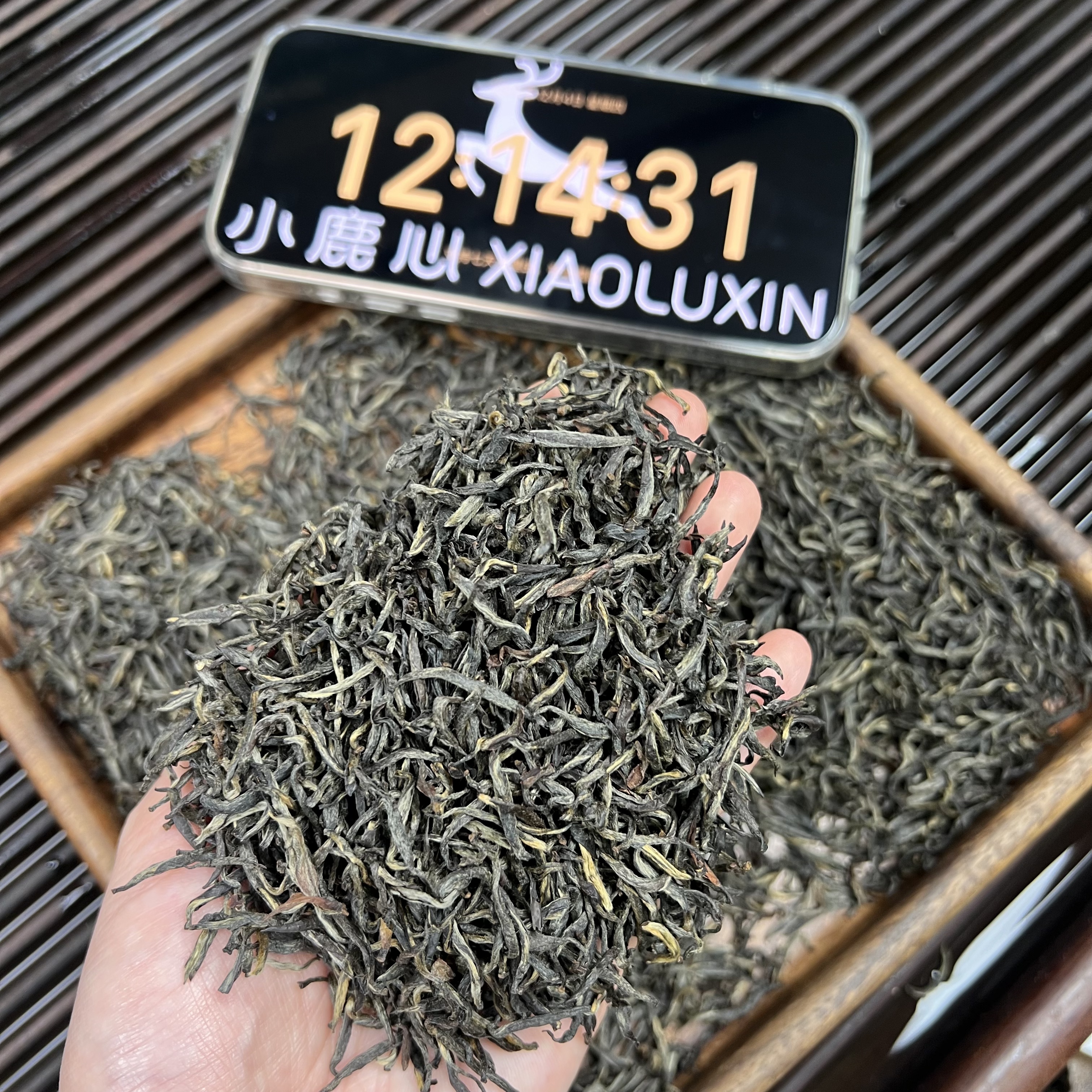 武夷山梅占金骏眉 ② 小鹿收茶 腊梅花香 武夷红茶  12月4