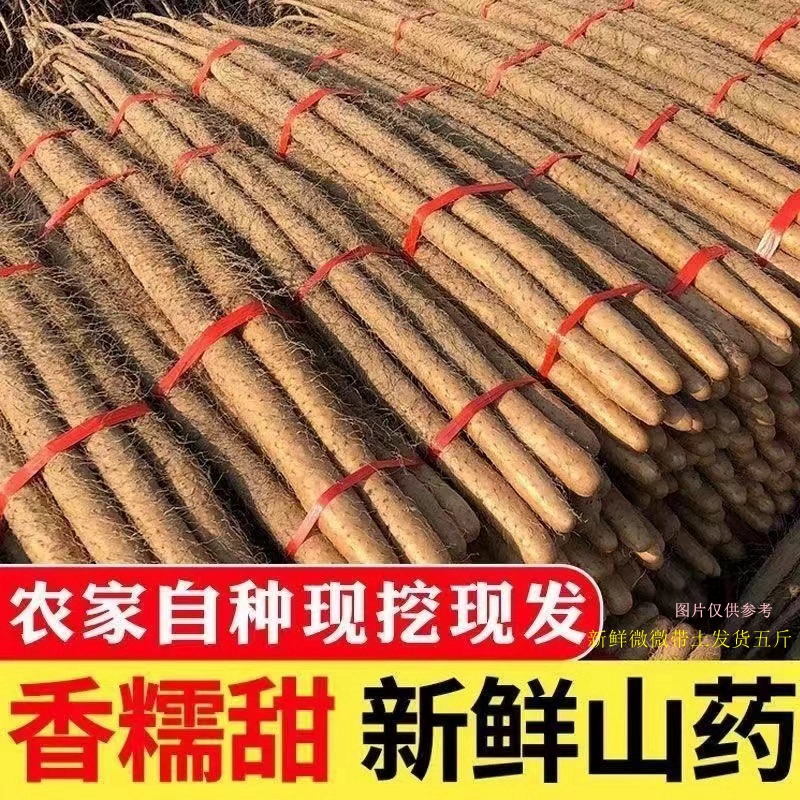 【高品质铁棍山药】共赢软糯香甜产地直发宝宝辅食带土特大果