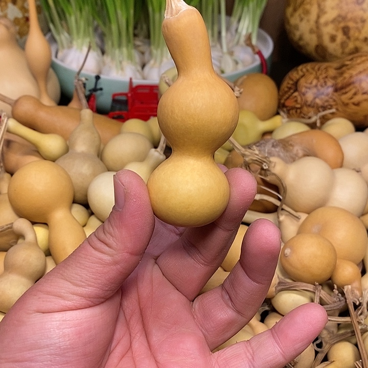 ℳ****精品葫芦手把葫芦68