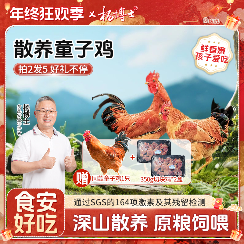 【拍2发5】食安放心童子鸡杨博士土鸡皖南深山散养仔公鸡新鲜现杀嫩