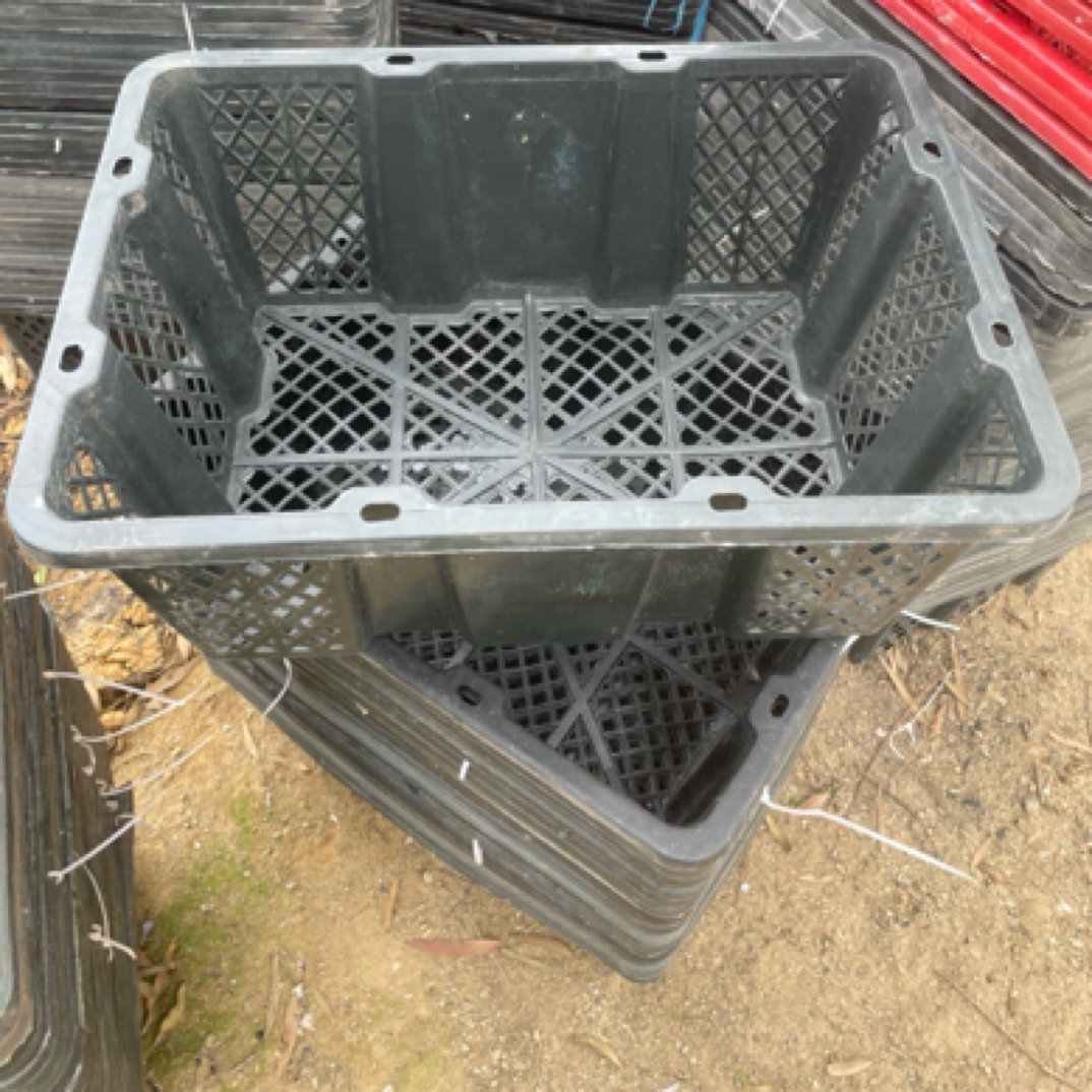 阿昇狮头鹅打包收纳 2 斤 塑料筐