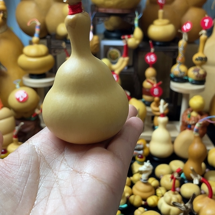 花***葫芦丝老师在讲英语听力