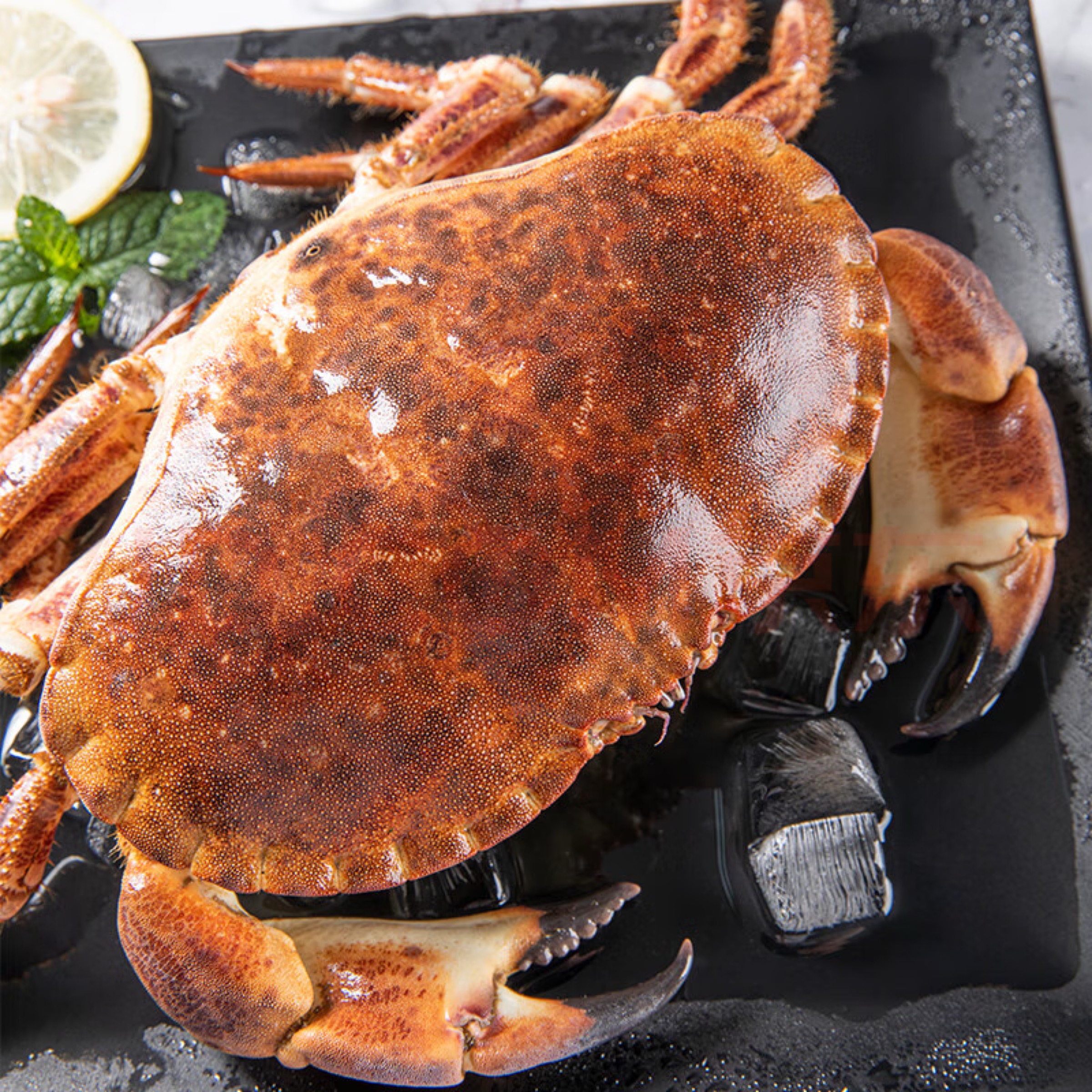 鲜活面包蟹  江浙沪皖充氧活发【保鲜不保活】纯母缺腿其余省份冻发