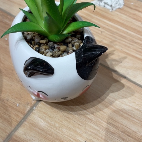 【闪购商品】摆件摆件摆件摆件摆件摆件