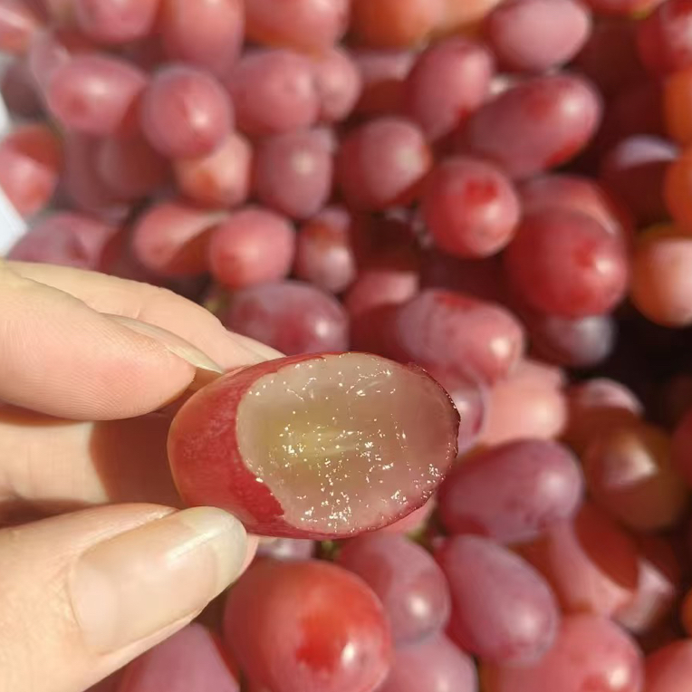 【水果红提】无籽红提两斤上海市