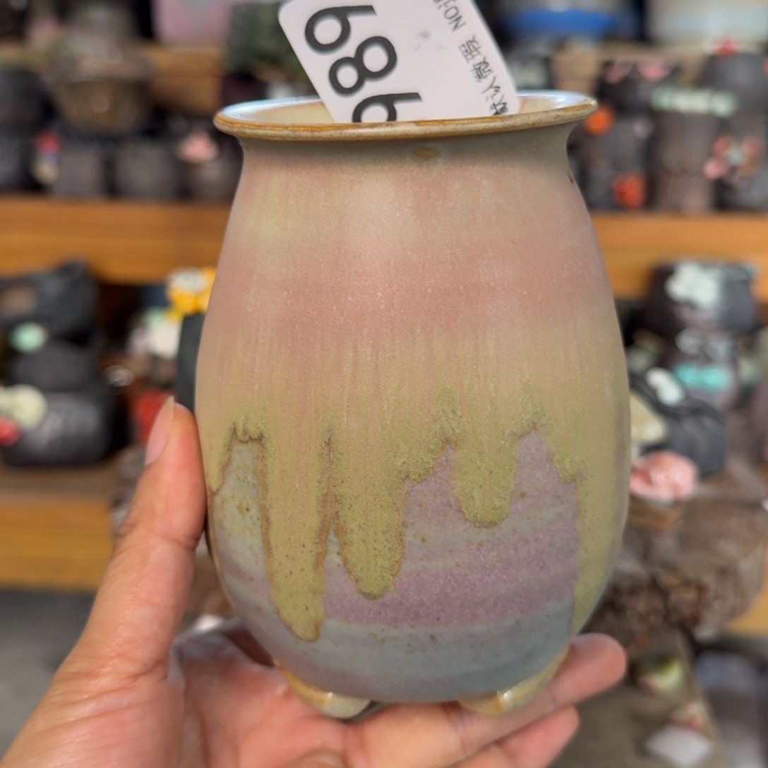 重庆小燕子和欢迎大家989