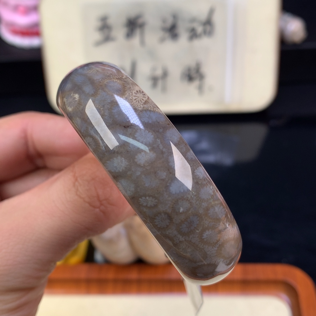 硅化珊瑚（珊瑚玉）未镶嵌颈饰115号黑豹纹51.6圈