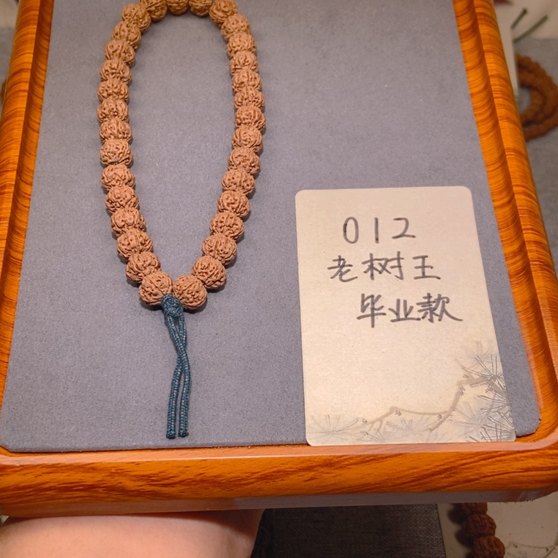 金刚菩提手串012老树王毕业款11