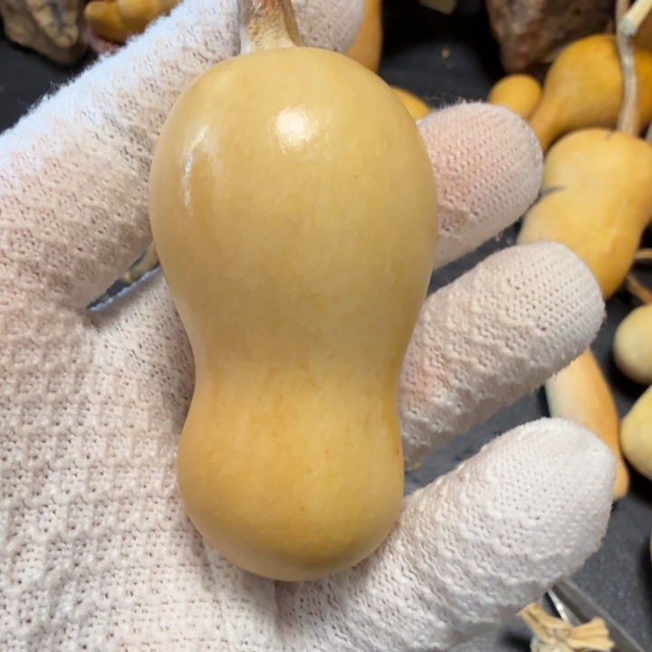 跳****66666666777777778788