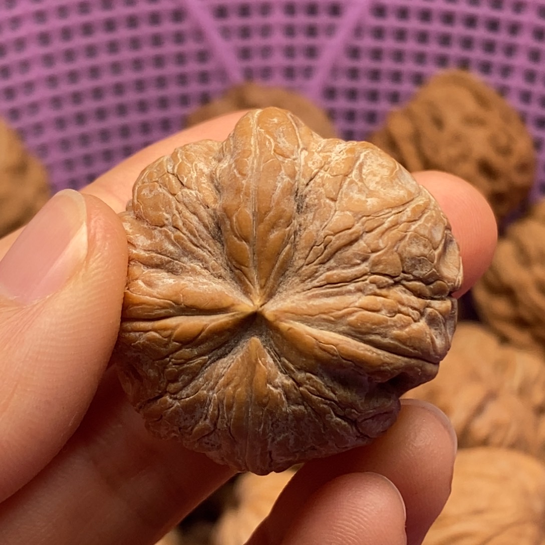 飞***觉核桃定制商品不退不换