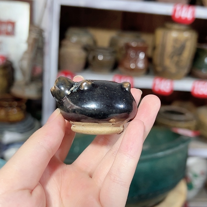 完全开放晴***生装修成不能