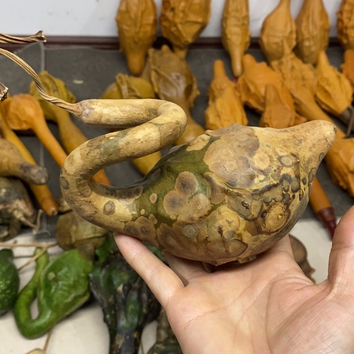 孙***面葫芦…………………………….