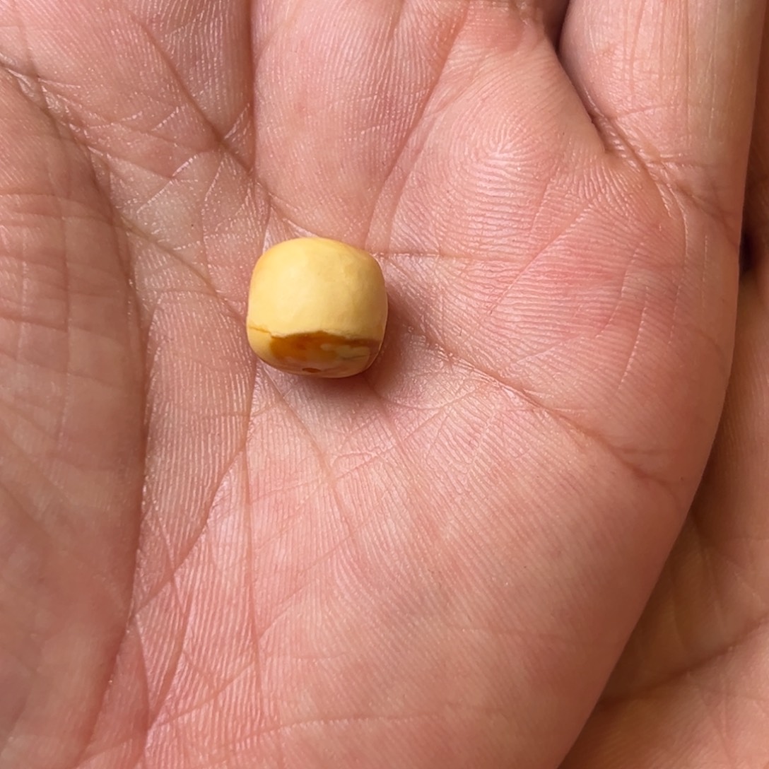琥珀吊坠(不含链)未镶嵌