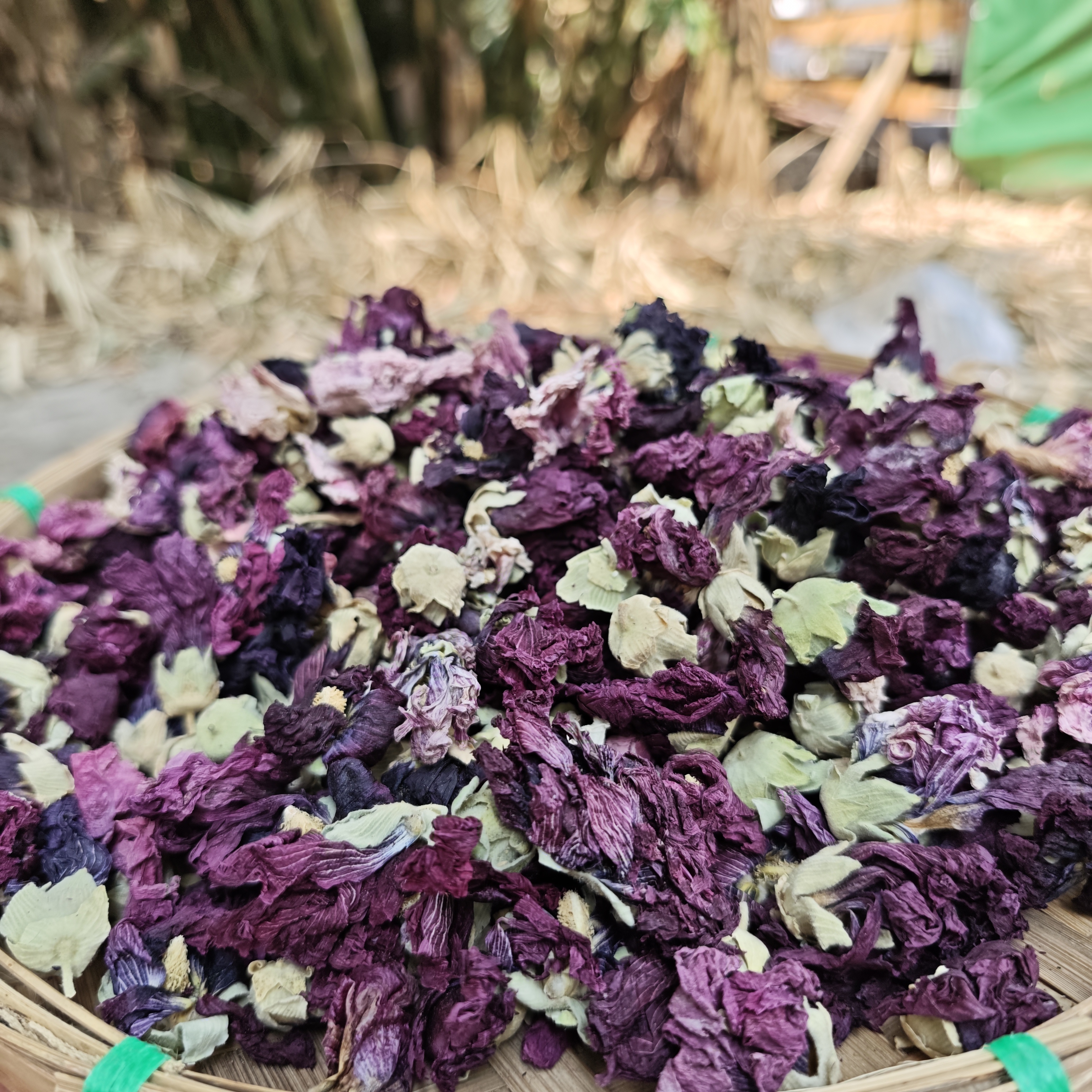 1【天-山-紫-莲】净含量：50-500g【小田现收】