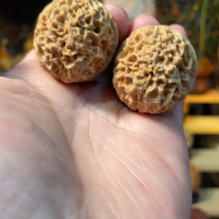 文玩核桃把件编号65