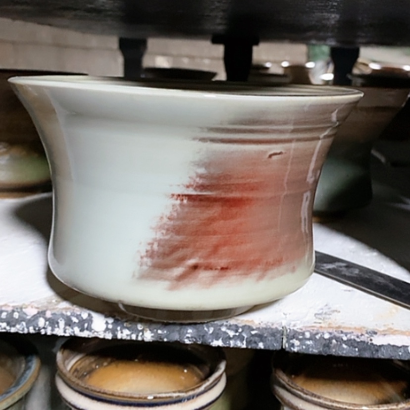 【闪购商品】红陶口16