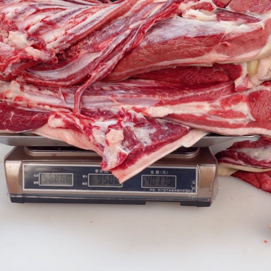 【闪购商品】冷冻保存30天包装河北省海*