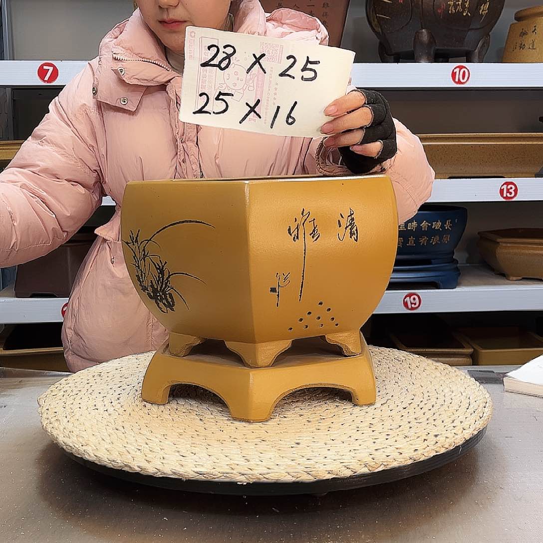 紫砂花盆紫砂花盆