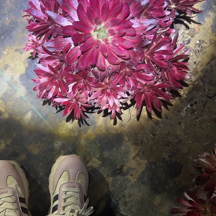 法师链接不售后118