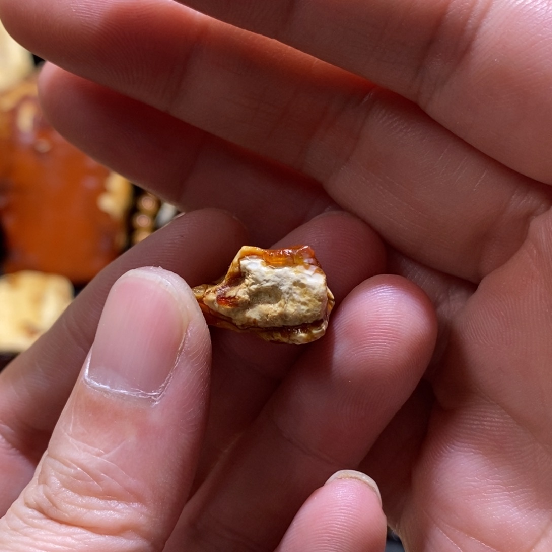 定制琥珀未镶嵌蜜蜡