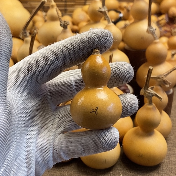 文玩葫芦 完美主义者 慎拍28