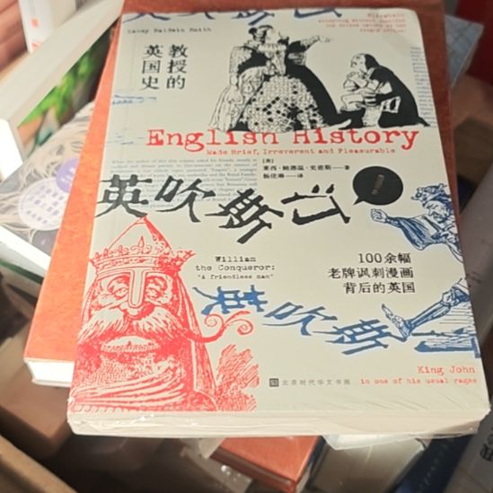 英吹斯丁平装库存书全新