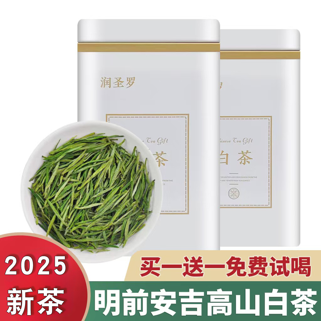 早春明前白茶手工安吉特产高山浓香型新茶茶叶绿茶原产地官方正品