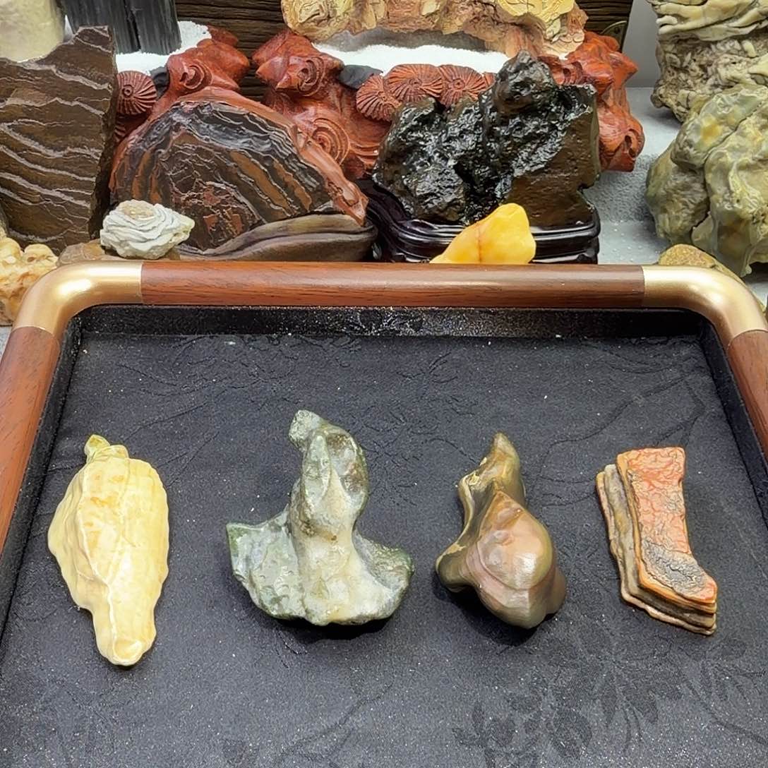 大叶紫檀（黑酸枝木类）