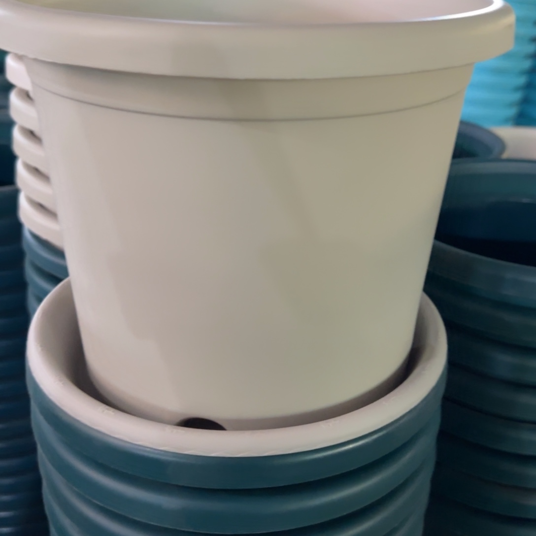 树脂特价3#带拖灰白10套