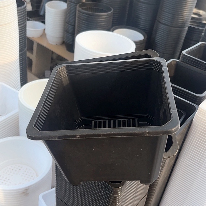 180黑方盆10个口17厘米高12厘米