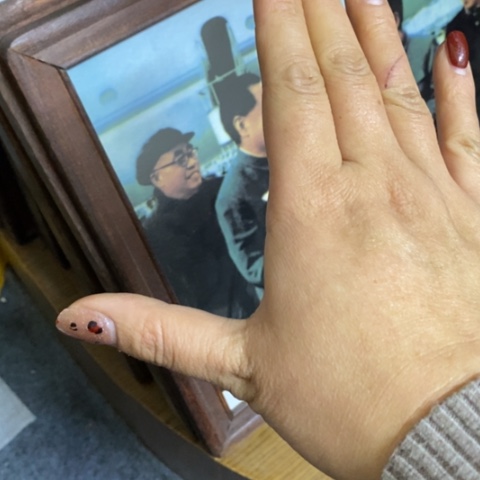 瓷片二*?景德镇陶瓷学院